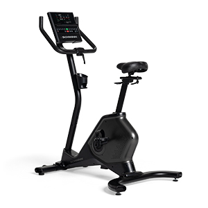 Schwinn 190 Upright Bike